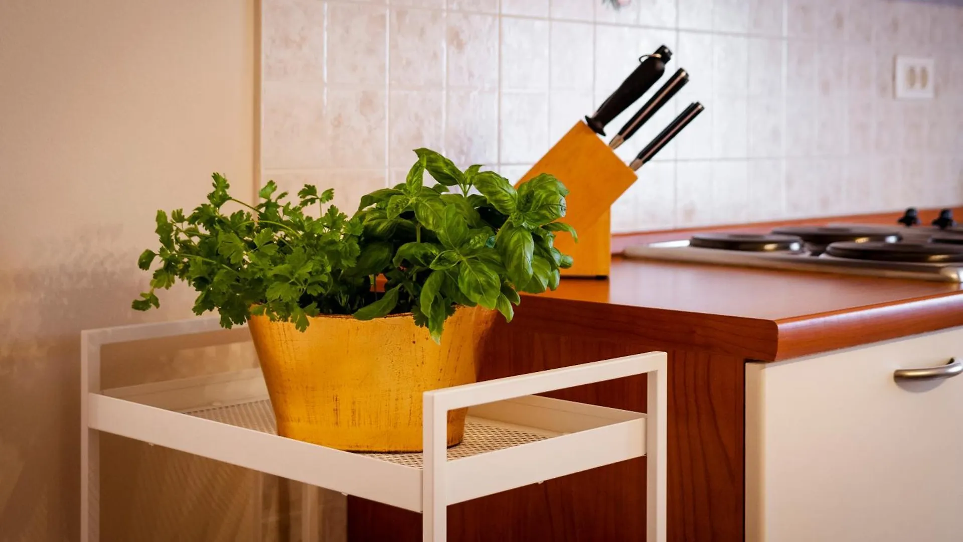 רוביני Apartments Martina